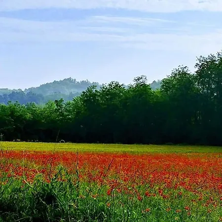 La Casa Delle Sciure * Ferrere